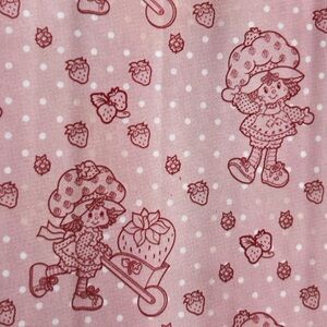 Strawberry Shortcake Pink Fabric Shower Curtain & Hooks